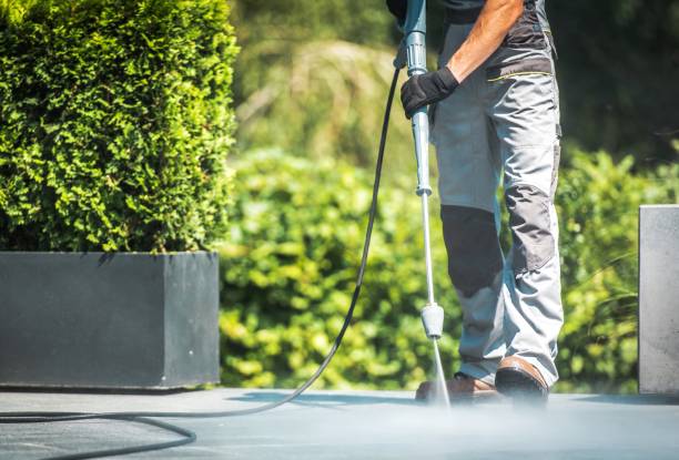 Best Driveway Pressure Washing  in Salisbury, MD