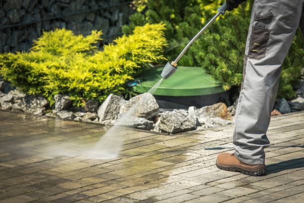 Boat and Dock Cleaning in Salisbury, MD